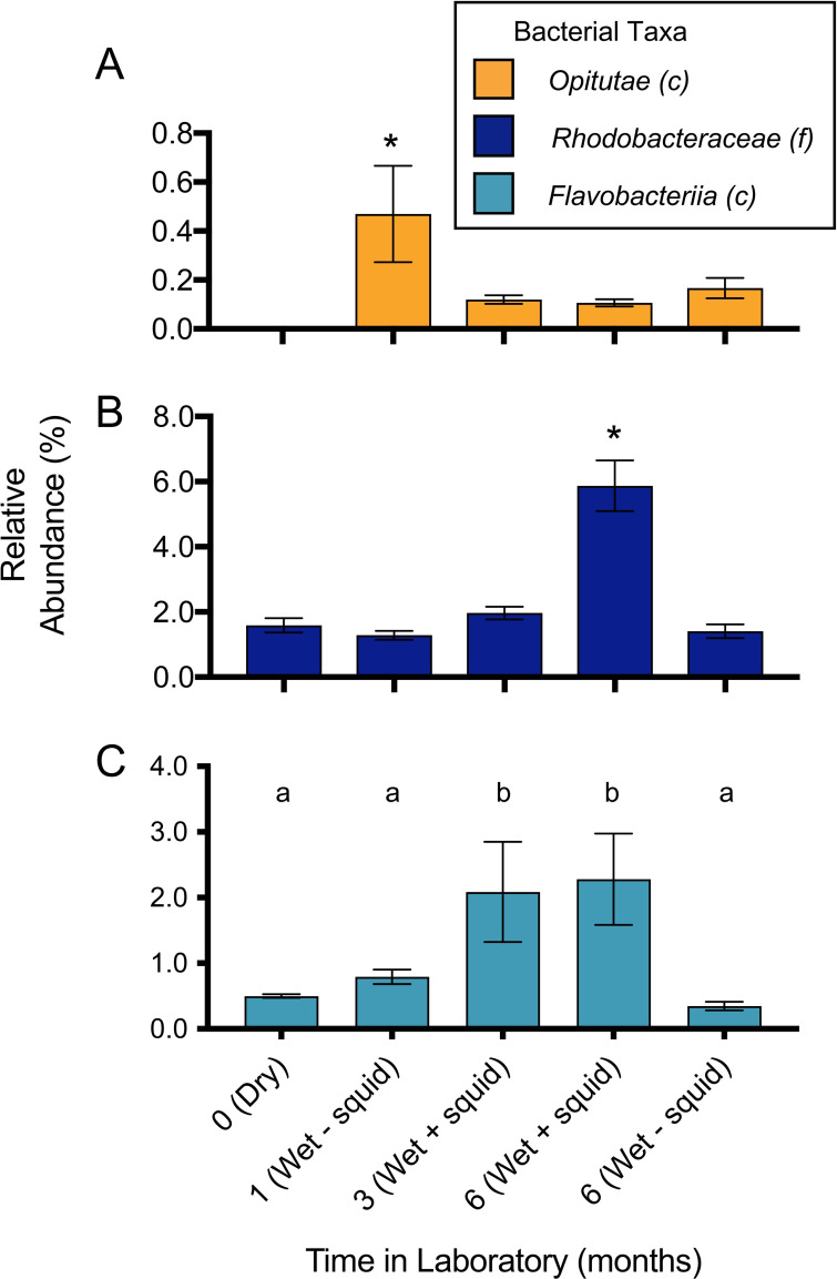 FIG 6