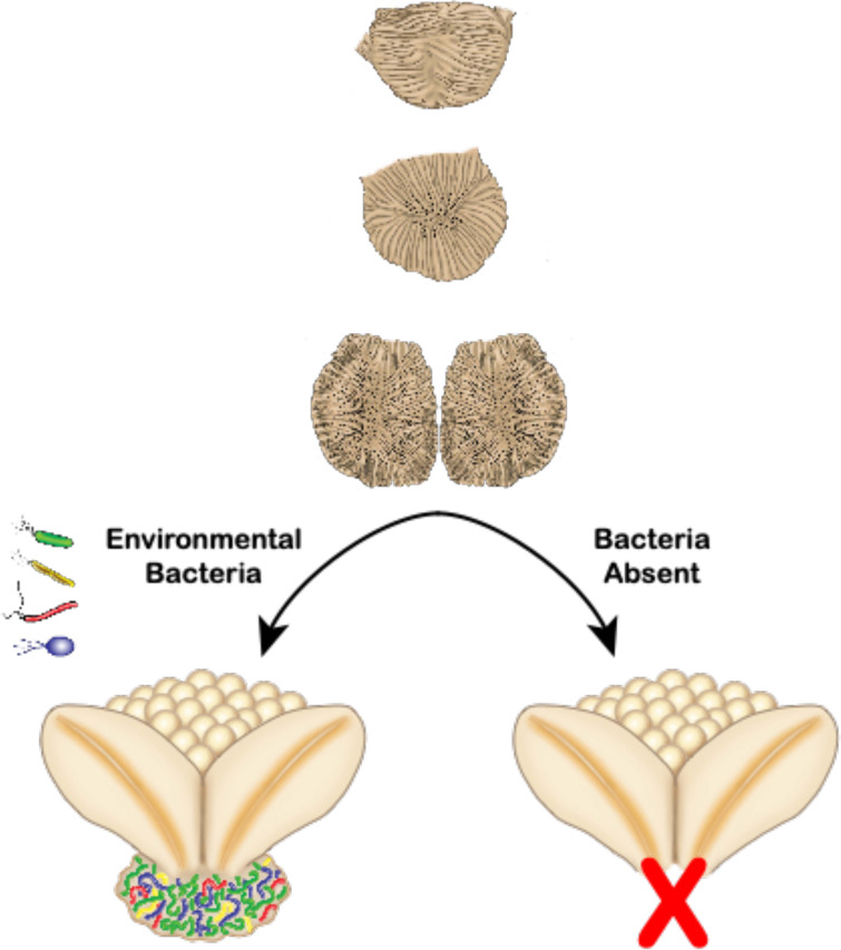 FIG 7