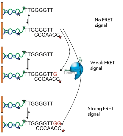 Fig. 18