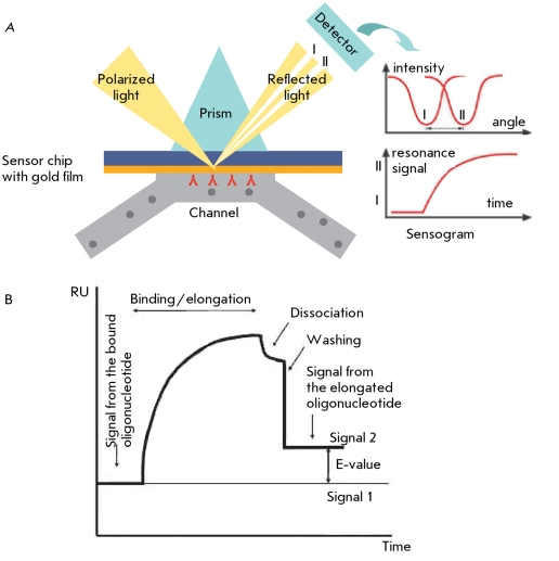 Fig. 10