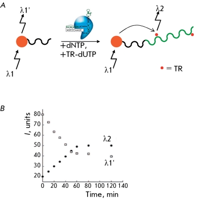 Fig. 16