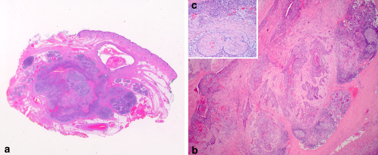 Fig. 3