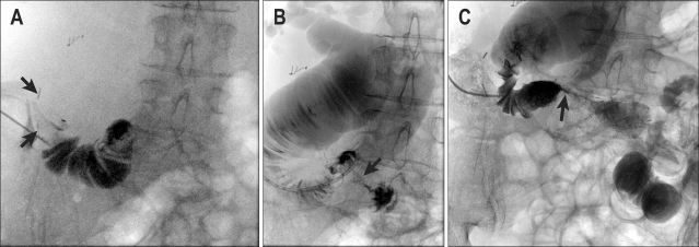 Fig. 8