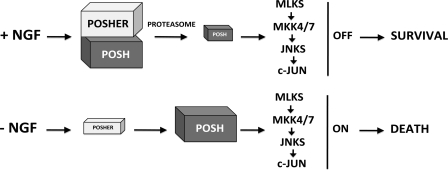 FIGURE 7.