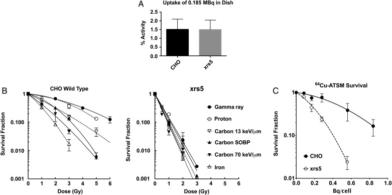 Fig. 1.