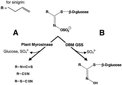 Fig 1.