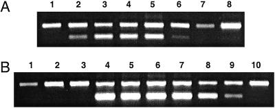 Fig 6.