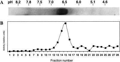 Fig 2.