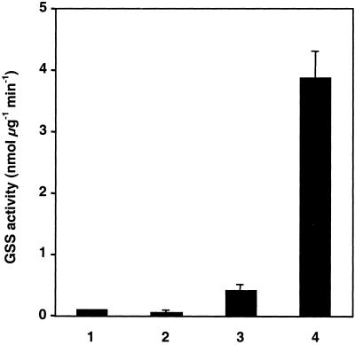 Fig 3.