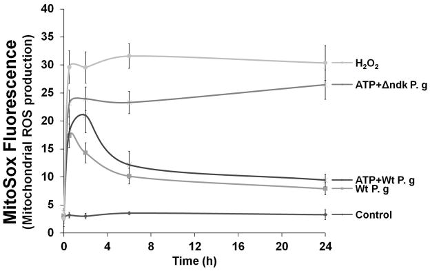 Fig. 6