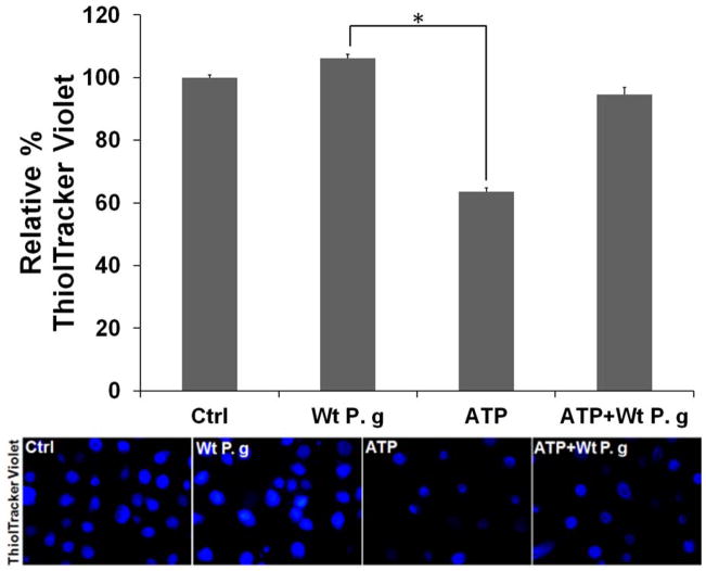 Fig. 4