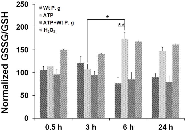 Fig. 4