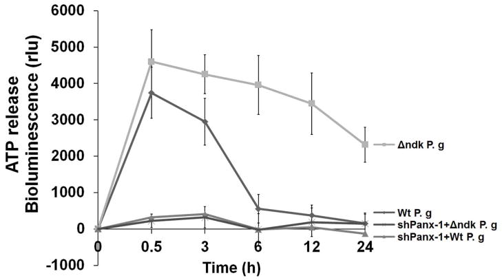 Fig. 8