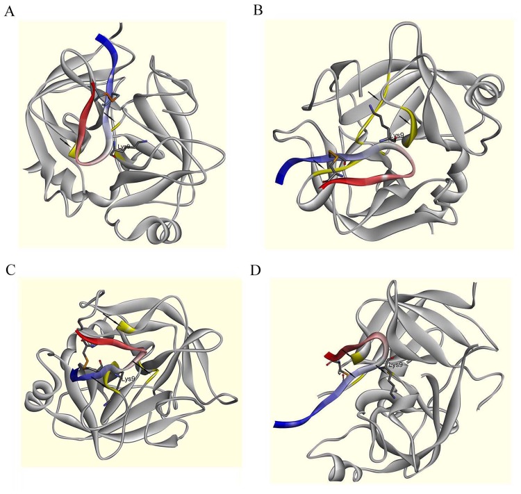 Figure 5