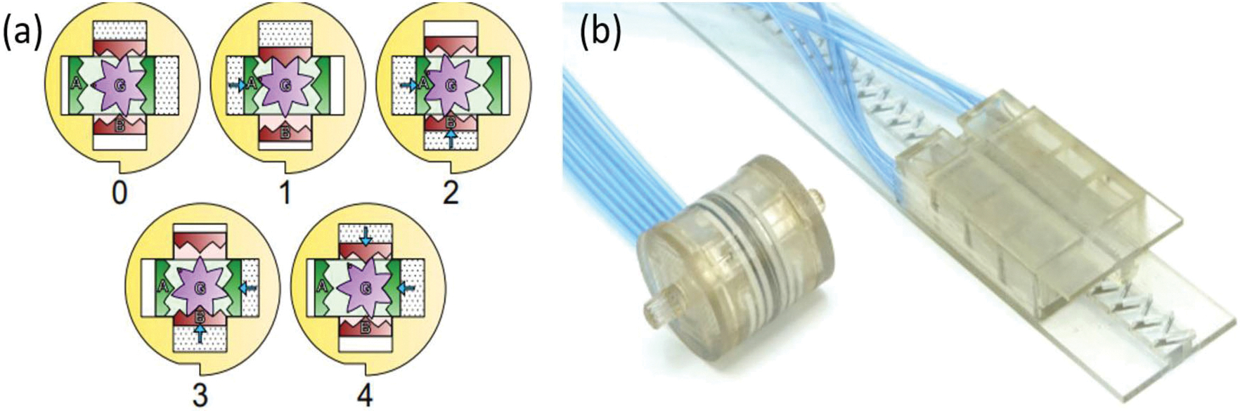 FIGURE 6.