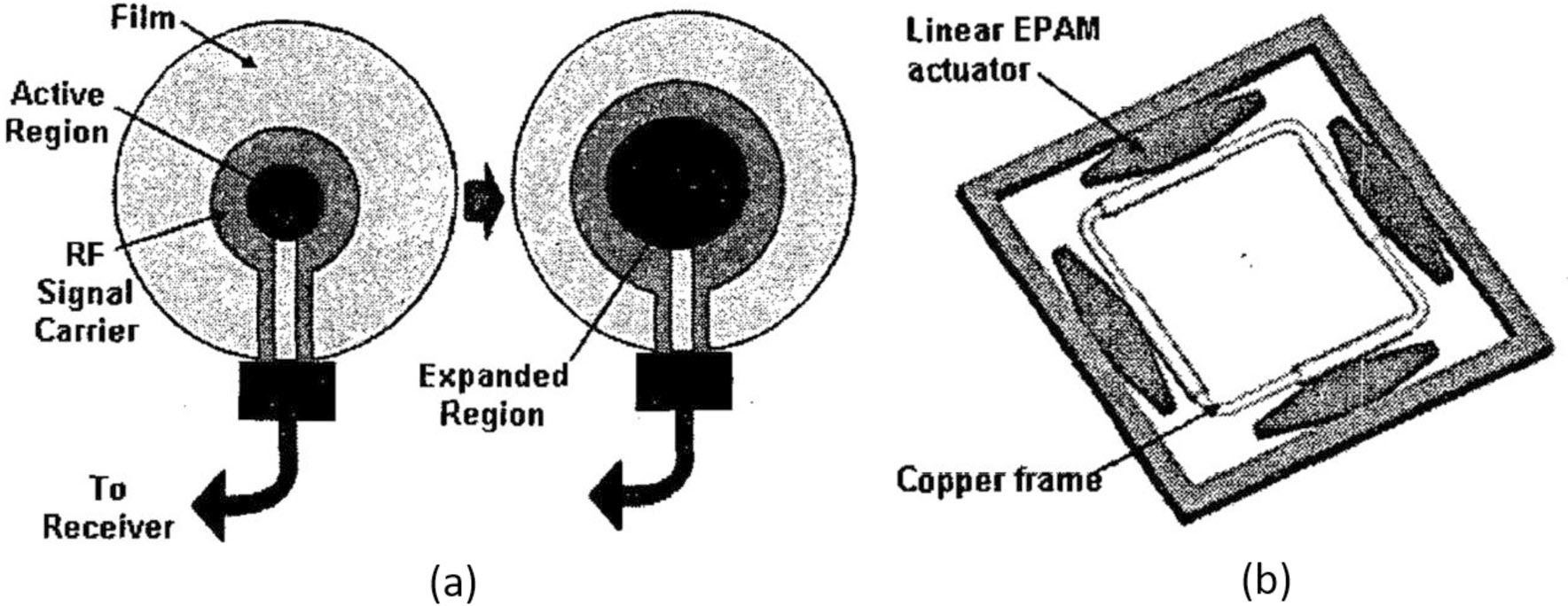 FIGURE 24.