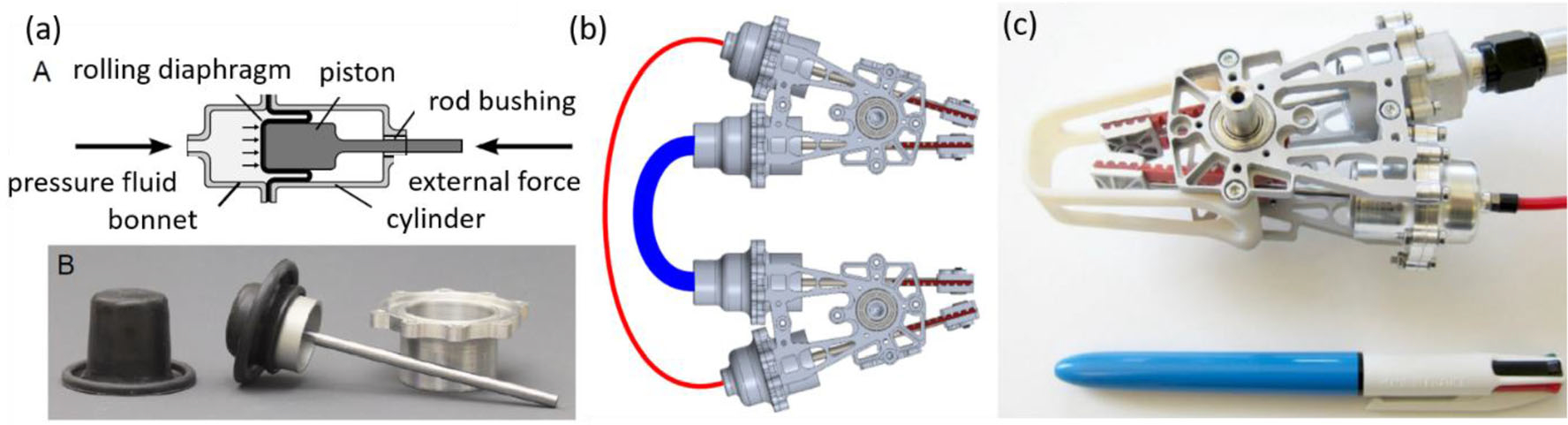 FIGURE 20.