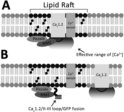 Fig. 8.