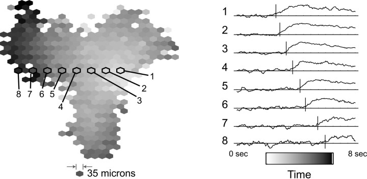 Fig. 4.