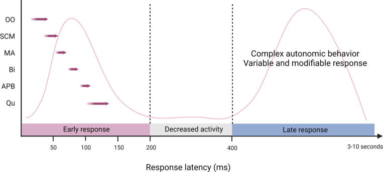 Fig. 15