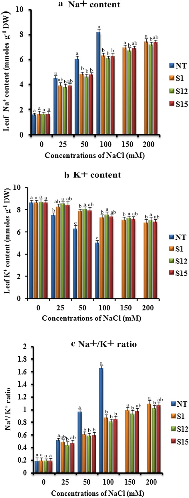 Fig. 9