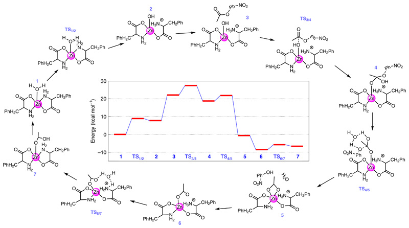 Fig. 4