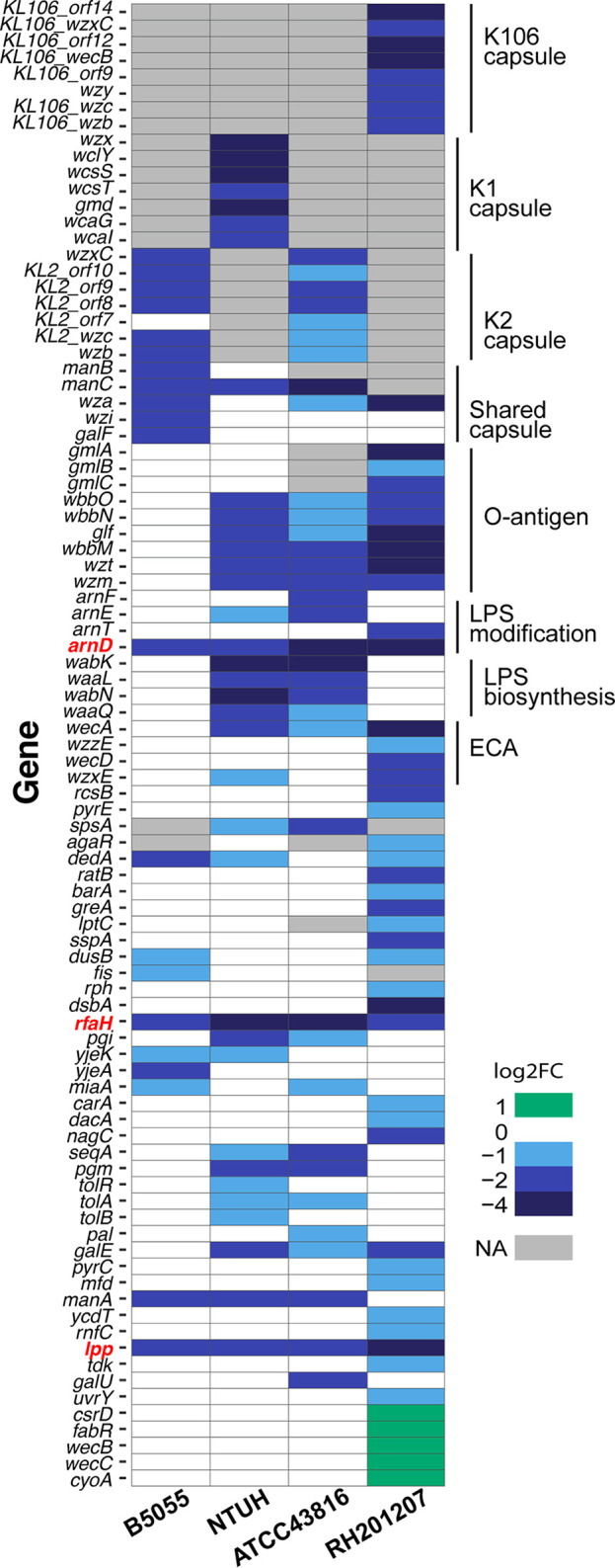 FIG 3