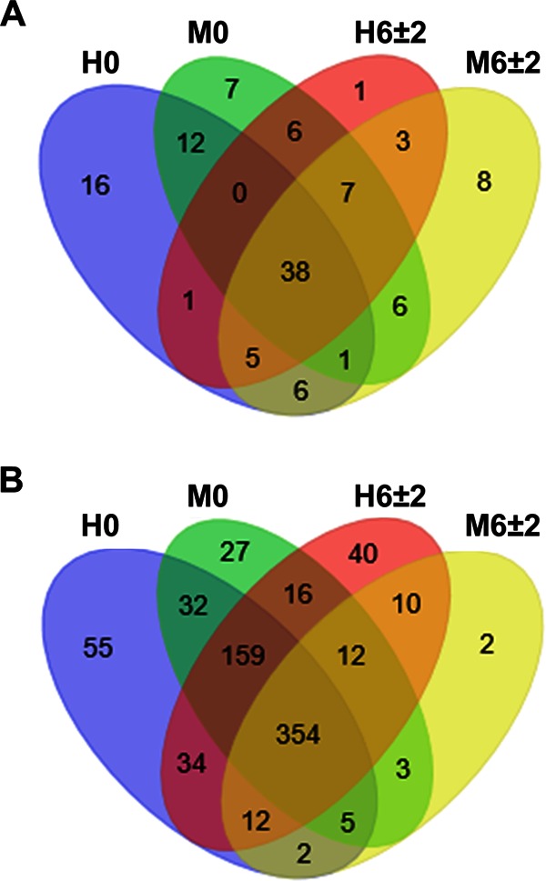 FIG 3