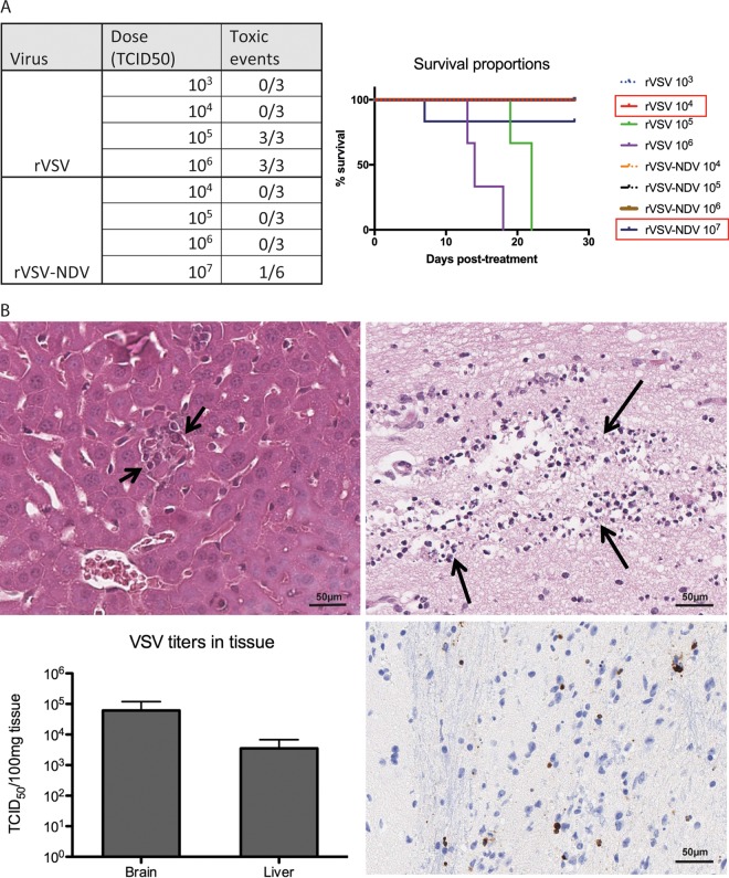 FIG 6