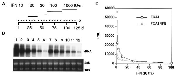 FIG. 6