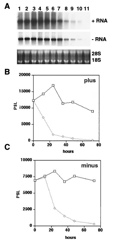 FIG. 5