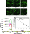 Fig 4.