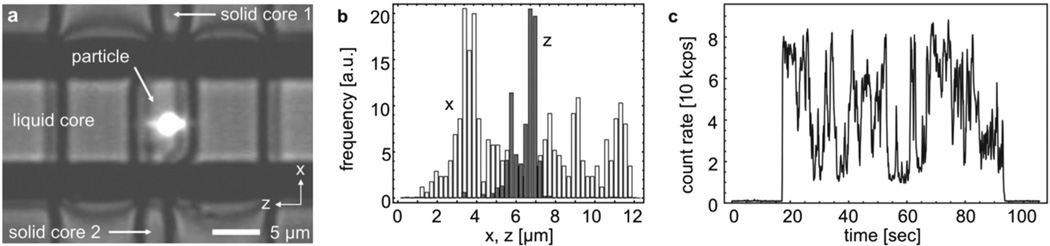 Fig. 2