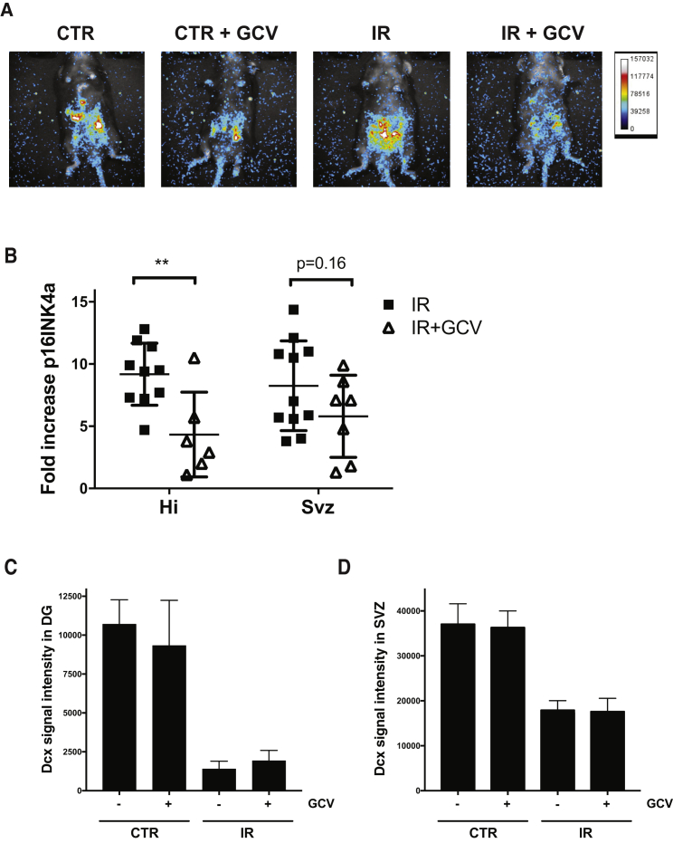 Figure 6