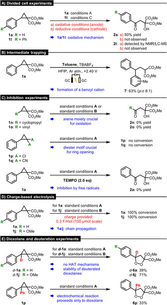 Scheme 5