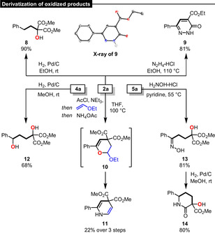 Scheme 7