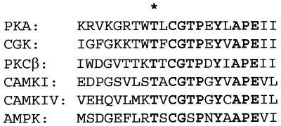 FIG. 11