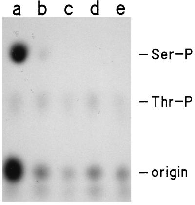 FIG. 9