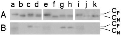 FIG. 8