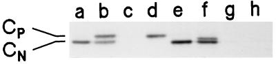 FIG. 10