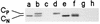 FIG. 10