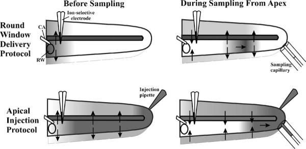 Fig. 5