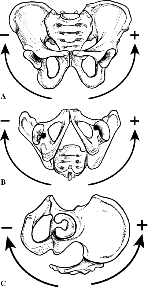 Fig. 2A–C