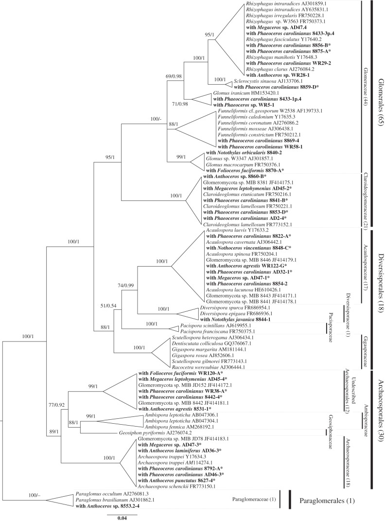 Figure 2.