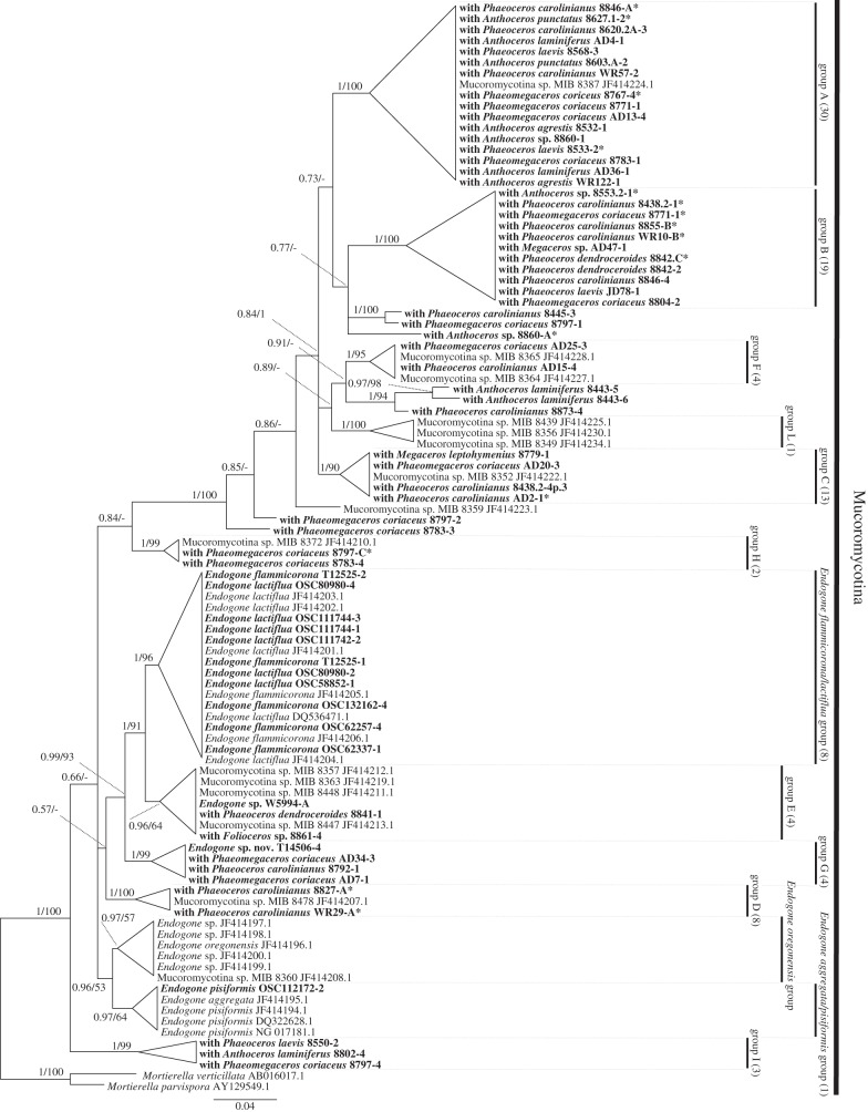 Figure 3.