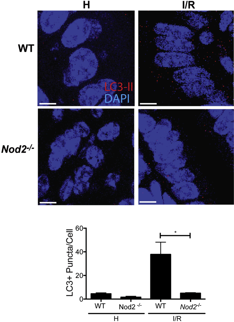 Figure 5