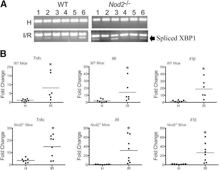 Figure 4