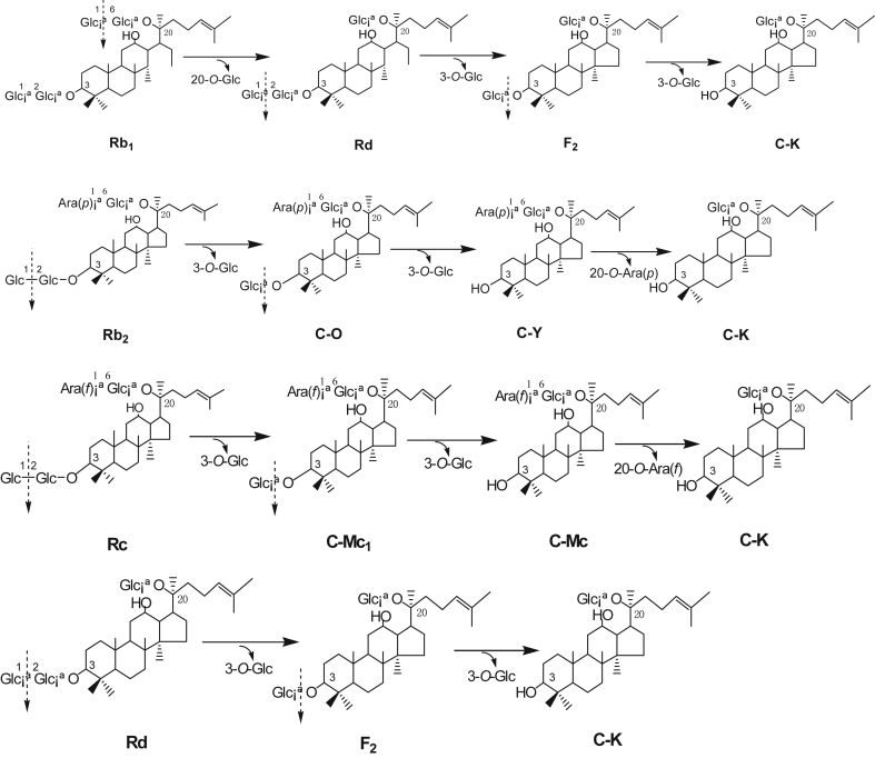 Fig. 3