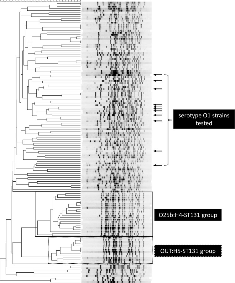 FIG 1