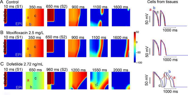 Figure 7.